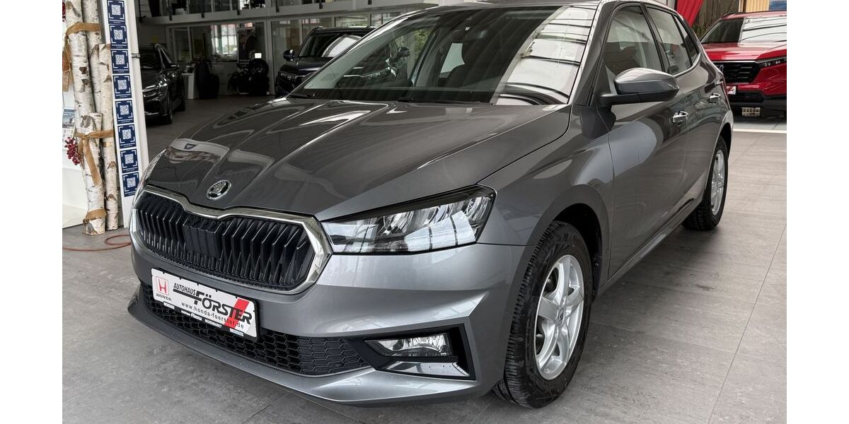 Skoda Fabia 20.890 km 15.390 &euro; Neuenmarkt 95339