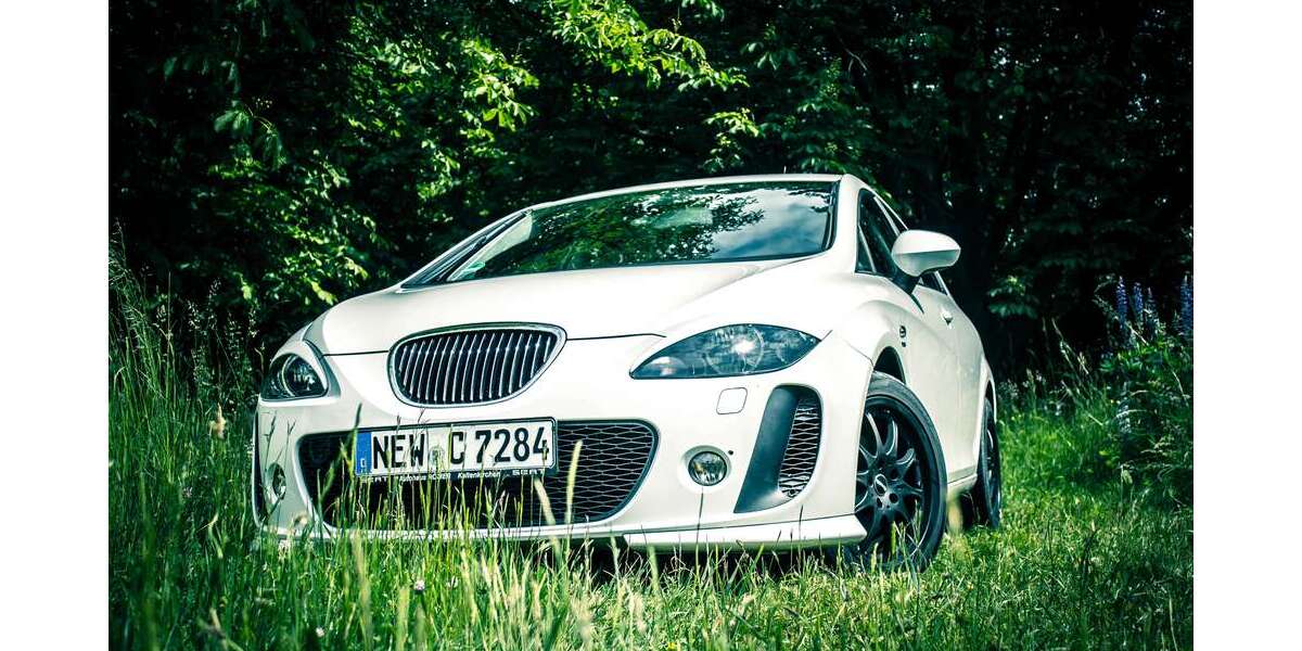 Seat Leon 169.000 km 4.900 &euro; Speinshart 92676