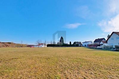 ATTRAKTIVE ENTWICKLUNGFLÄCHE IN BEGEHRTER LAGE - Grundstück Seybothenreuth | Angebot:26768720