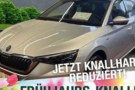 Skoda Scala 99.789 km 17.970 &euro; Pegnitz 91257