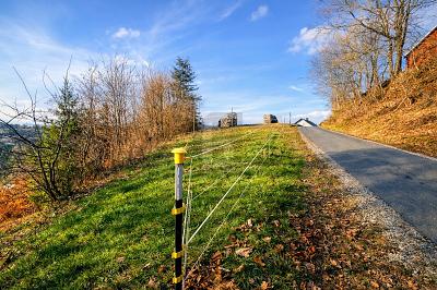 LEBENSQUALITÄT IN NATURNAHE UMGEBUNG - Grundstück Pegnitz | Angebot:26276360