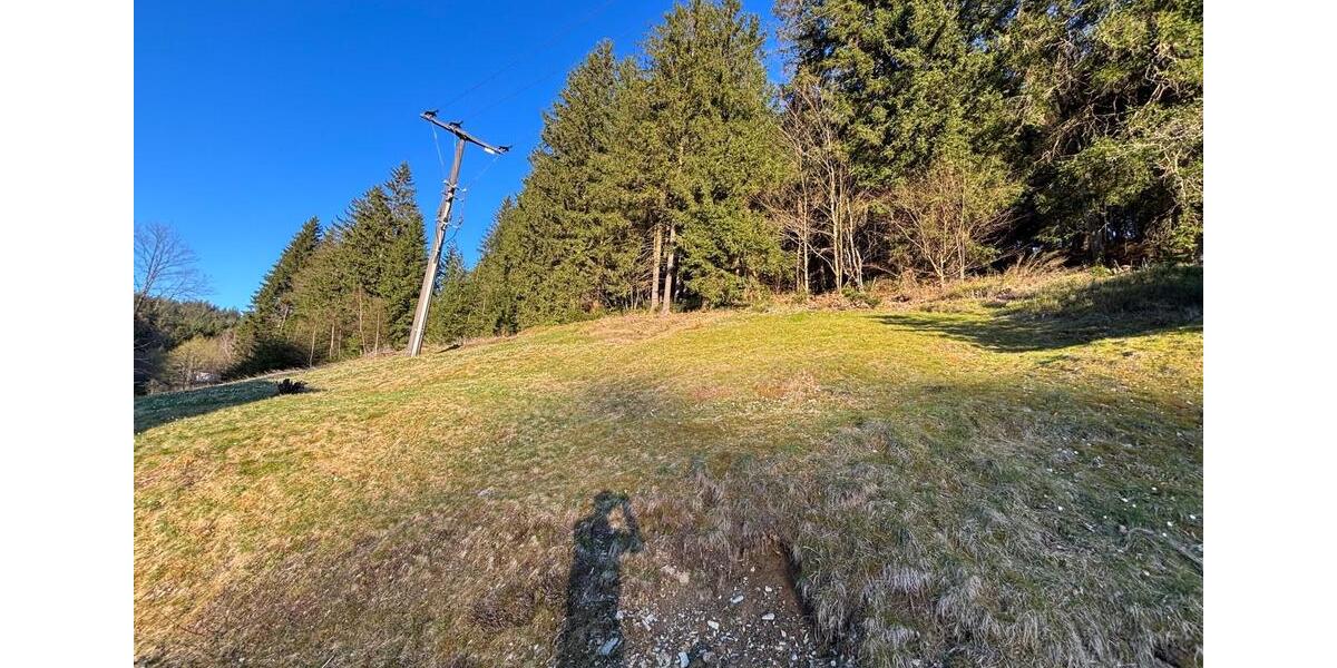 Einfamilienhaus Warmensteinach - 5 Zimmer, 170 m&sup2;, 110.000&euro; | Angebot:26277992