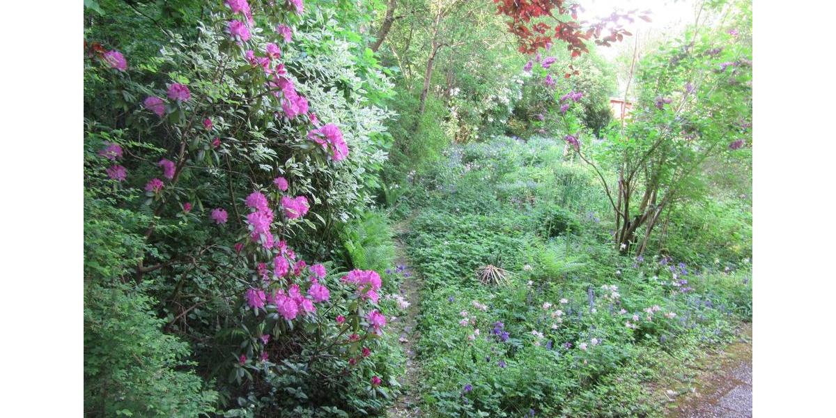 Etagenwohnung Bayreuth Altstadt - 1.5 Zimmer, 66 m&sup2;, 495&euro; | Angebot:25886313