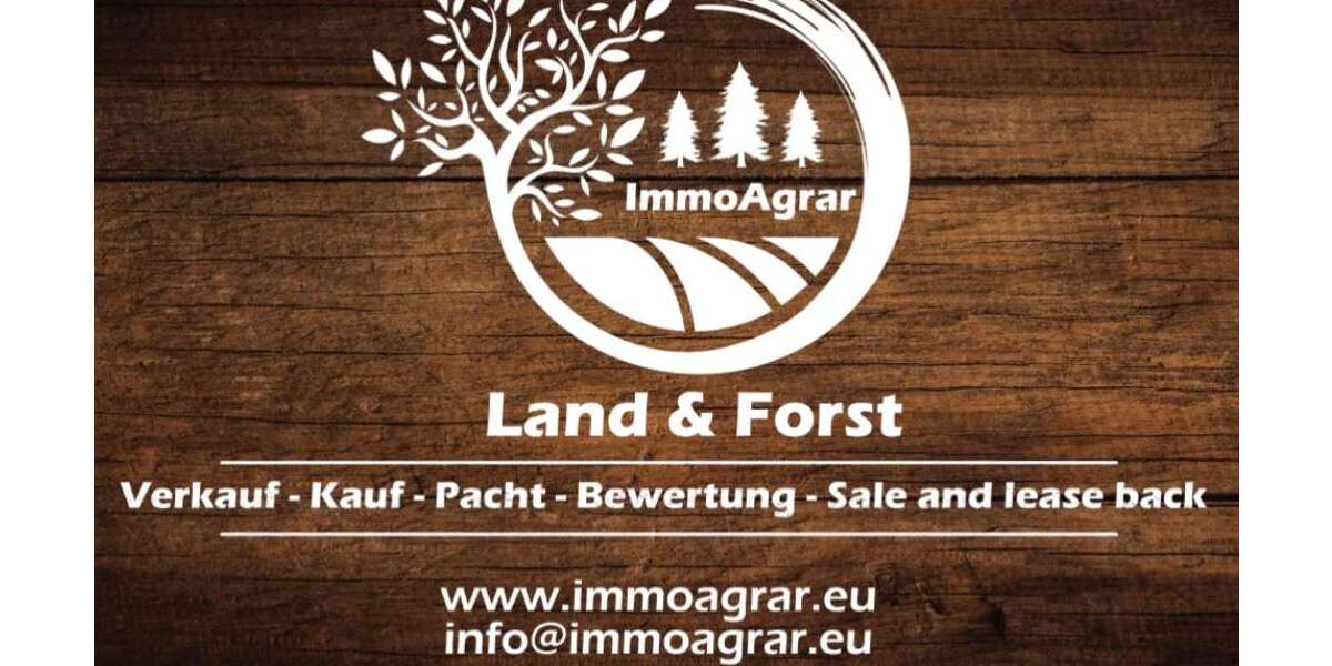 Grundstück Buchau Buchau - 35.000&euro; | Angebot:23623646