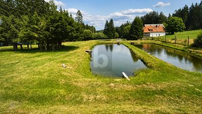 SELTENE FISCHTEICHANLAGE MIT FISCHEREIRECHT - Grundstück Kulmain | Angebot:27109387