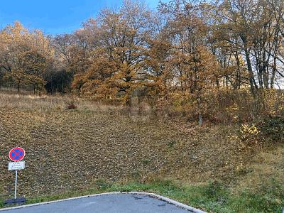BAUAREAL IN NATURNAHER LAGE - Grundstück Bad Berneck im Fichtelgebirge | Angebot:27095313