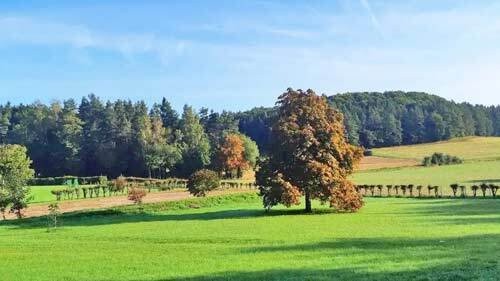 Fränkische Schweiz elegantes Reitanwesen mit Pferdehaltung - Einfamilienhaus Gössweinstein | Angebot:20751862