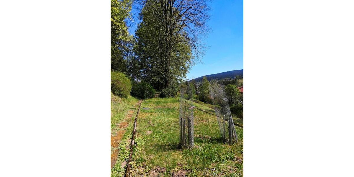 Einfamilienhaus Bischofsgrün - 8 Zimmer, 265 m&sup2;, 285.000&euro; | Angebot:26234153