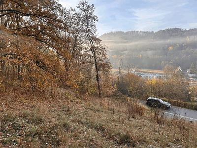 BAUAREAL IN NATURNAHER LAGE - Grundstück Bad Berneck im Fichtelgebirge | Angebot:26162288