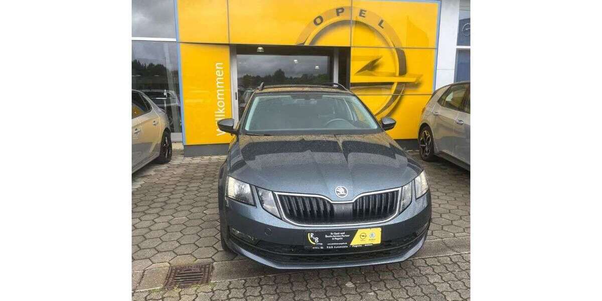 Skoda Octavia 59.700 km 19.870 &euro; Pegnitz 91257