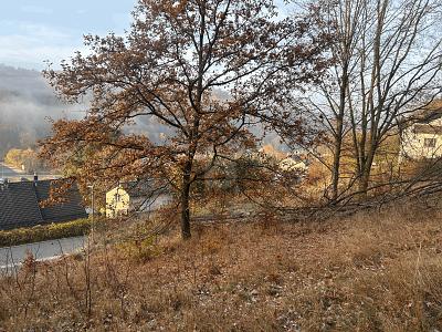 BAUAREAL IN NATURNAHER LAGE - Grundstück Bad Berneck im Fichtelgebirge | Angebot:27095313