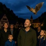 Das Geheimnis der Fledermausnacht