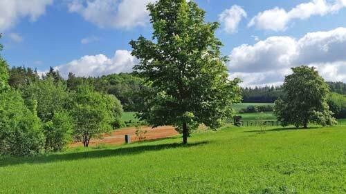 Fränkische Schweiz elegantes Reitanwesen mit Pferdehaltung - Einfamilienhaus Gössweinstein | Angebot:20751862