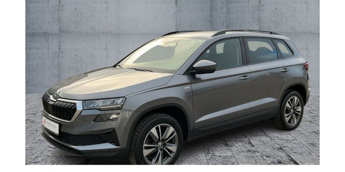 Skoda Karoq 128.750 km 18.848 &euro; Pegnitz 91257