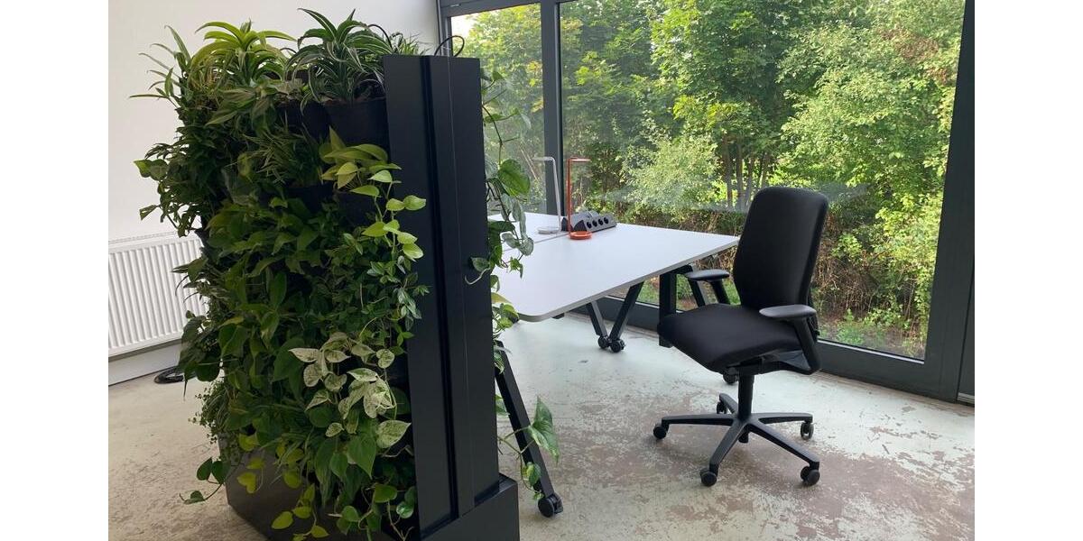 Gewerbeobjekt Kemnath - 198&euro; | Angebot:15752003