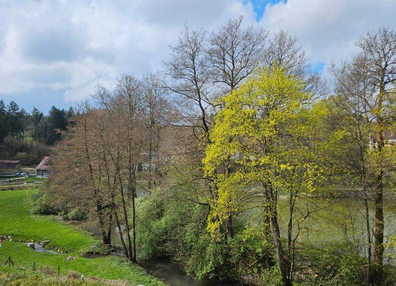 Einfamilienhaus Aufseß - 350.000&euro; | Angebot:26661610
