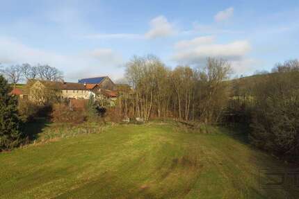 Grundstück Heinersreuth Hahnenhof - 98.000&euro; | Angebot:19891696