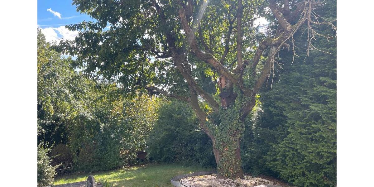 Dachgeschoßwohnung Bayreuth Meyernberg - 3 Zimmer, 89 m&sup2;, 1.030&euro; | Angebot:27544355