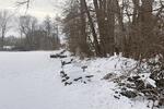 BAUFLÄCHE AM GRÜNRAND - Grundstück Bad Berneck im Fichtelgebirge | Angebot:26765729