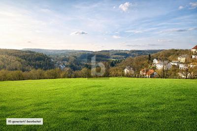 LEBENSQUALITÄT IN NATURNAHE UMGEBUNG - Grundstück Pegnitz | Angebot:27159450