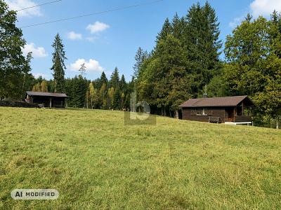 SELTENE TEICHANLAGE MIT 5 ERDTEICHEN AUF 38.492 M² - Grundstück Kulmain | Angebot:27354962