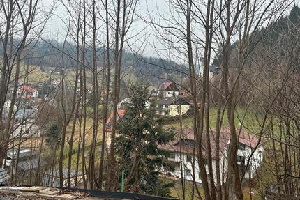 Wohnung Warmensteinach - 1 Zimmer, 38 m&sup2;, 540&euro; | Angebot:26251072