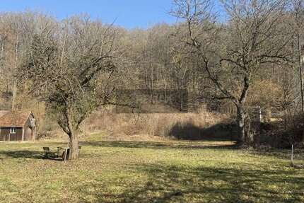 Grundstück Wirsberg - 269.000&euro; | Angebot:25385147