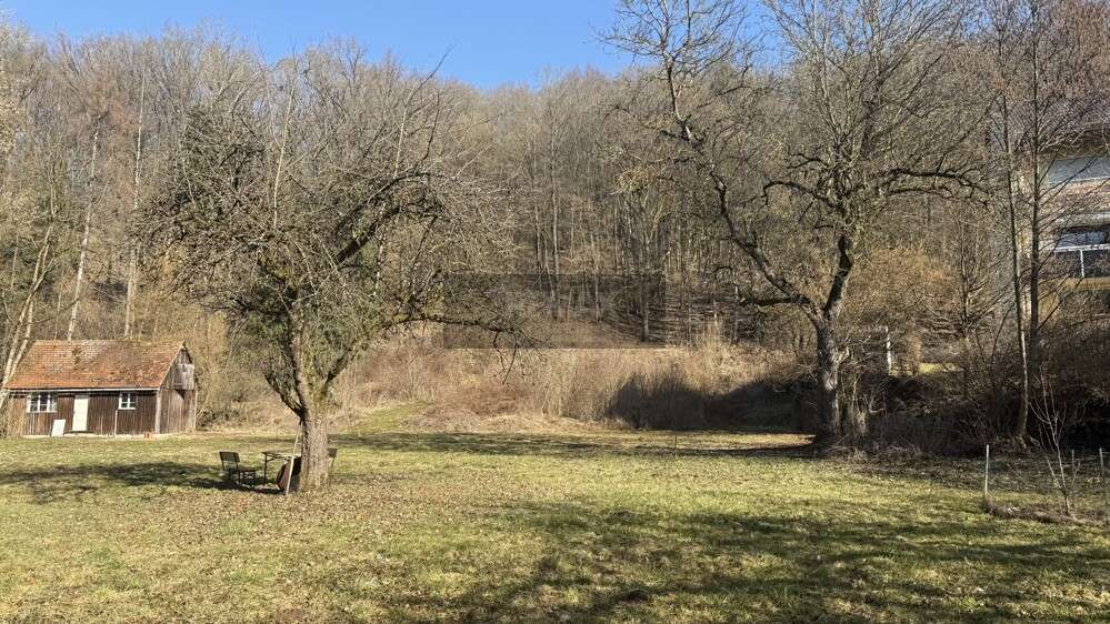 Grundstück Wirsberg - 269.000&euro; | Angebot:25385147