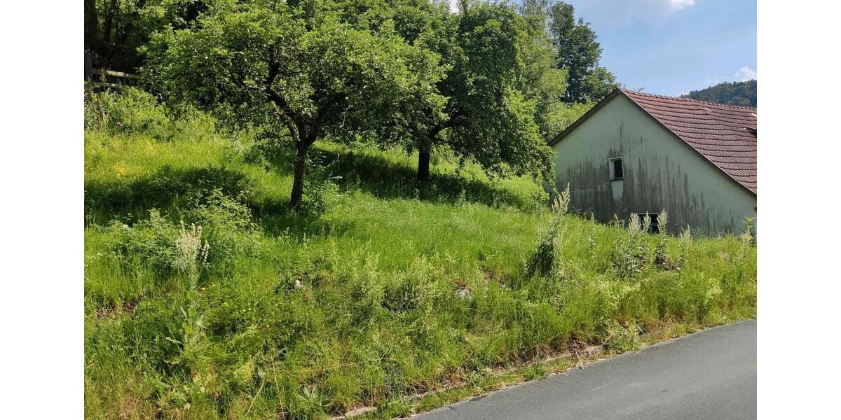 Einfamilienhaus Weismain - 8 Zimmer, 100 m&sup2;, 70.000&euro; | Angebot:26933588