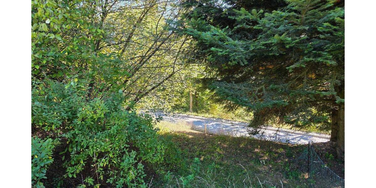 Grundstück Bischofsgrün - 49.000&euro; | Angebot:25776834