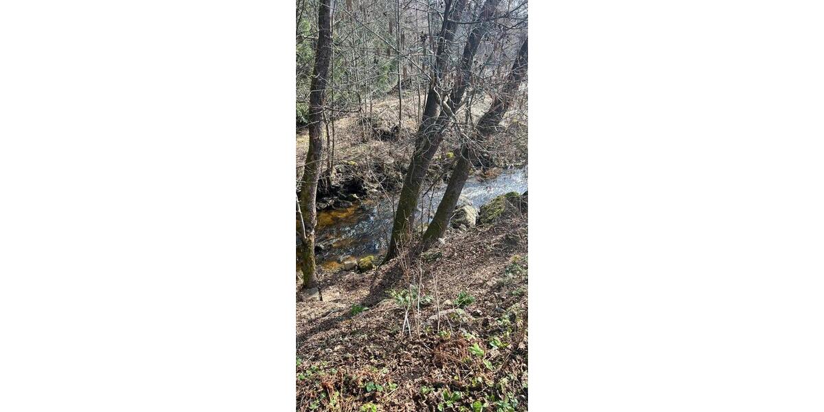 Einfamilienhaus Mehlmeisel - 2 Zimmer, 17 m&sup2;, 55.000&euro; | Angebot:25130898