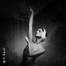 Grand Classic Ballet - Schwanensee - Jenseits der Bühne mit live Streichquartett 30.10.2026 Markgräfisches Opernhaus