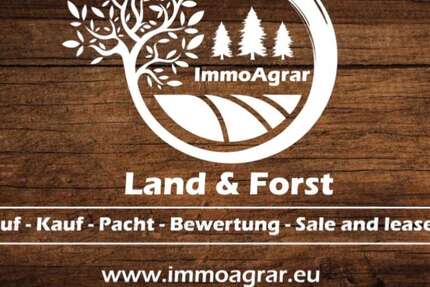 Grundstück Stadtsteinach Hochofen - 65.000&euro; | Angebot:19900637