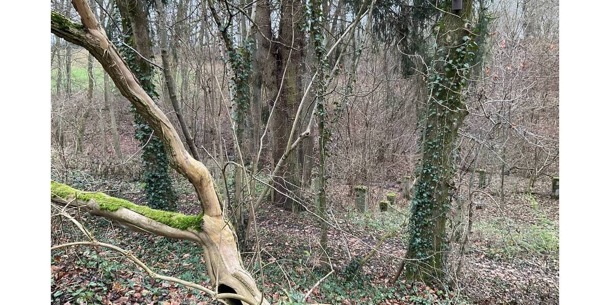 Einfamilienhaus Neudrossenfeld Neuenreuth am Main - 5 Zimmer, 94 m&sup2;, 89.000&euro; | Angebot:25678497