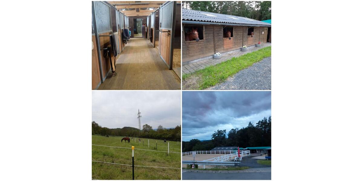 Einfamilienhaus Bindlach - 4 Zimmer, 110 m&sup2;, 780.000&euro; | Angebot:26249960