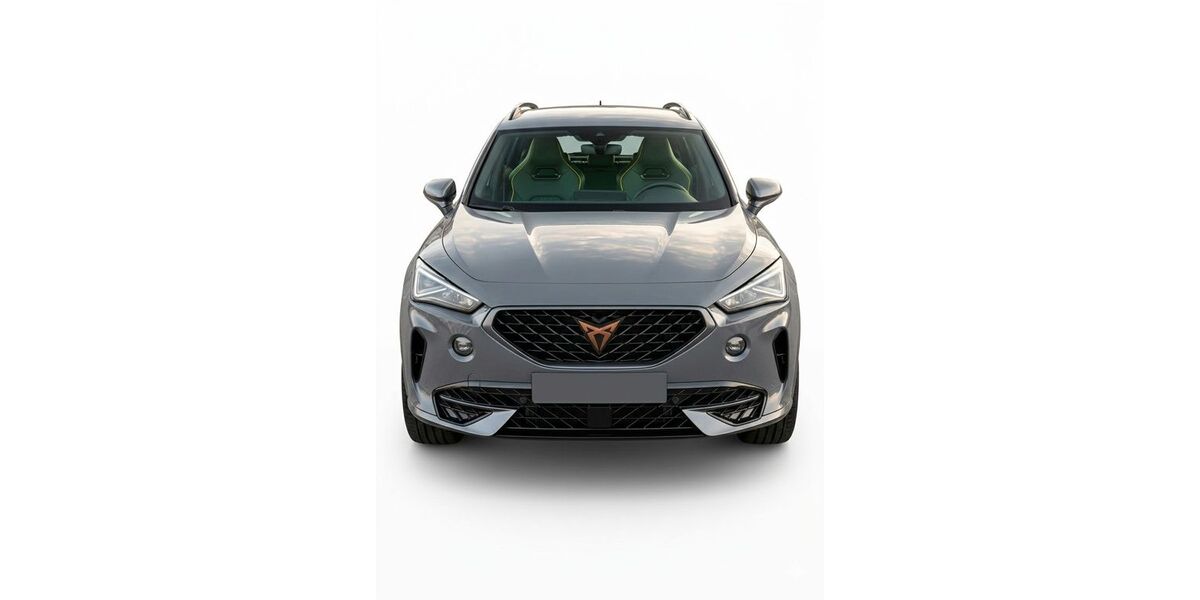 Cupra Formentor 48.700 km 22.150 &euro; Neustadt am Kulm 95514