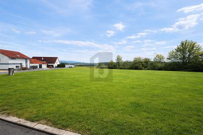 IHR PLATZ FÜR NEUE PERSPEKTIVEN - Grundstück Seybothenreuth | Angebot:26768606