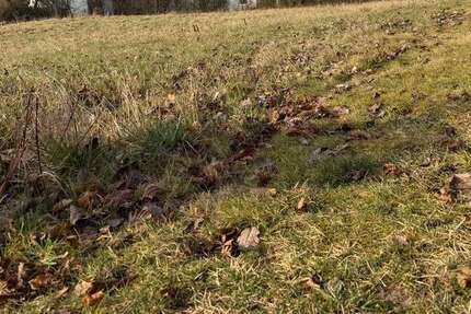 Grundstück Kulmbach Blaich - 269.000&euro; | Angebot:26151851