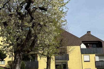 Wohnung Bad Berneck - 1 Zimmer, 40 m&sup2;, 75.000&euro; | Angebot:26384754