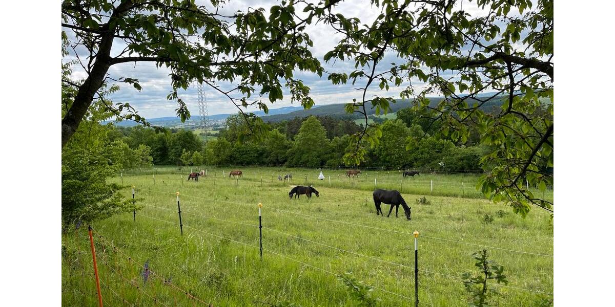 Einfamilienhaus Bindlach - 4 Zimmer, 110 m&sup2;, 780.000&euro; | Angebot:26249960