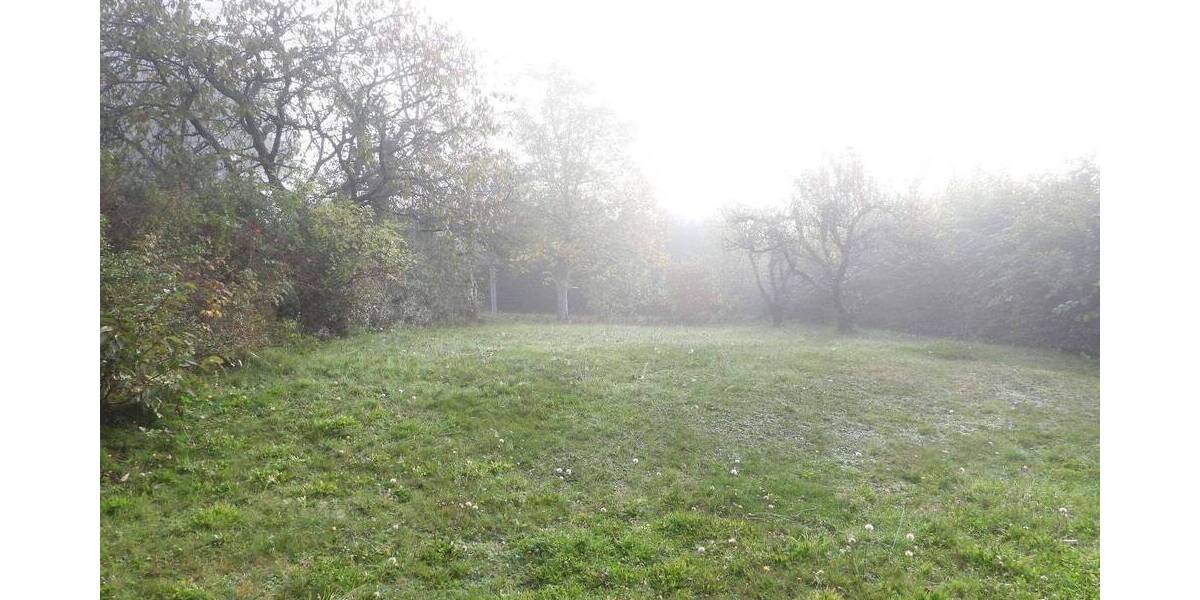 Grundstück Creußen Lindenhardt - 150.000&euro; | Angebot:26834793