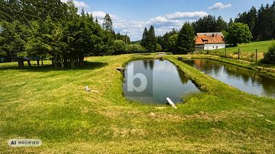 SELTENE TEICHANLAGE MIT 5 ERDTEICHEN AUF 38.492 M² - Grundstück Kulmain | Angebot:27354962