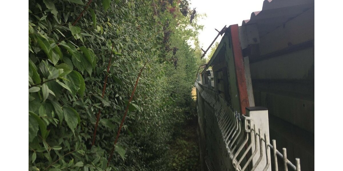 Ford Focus Style,Tempomat ,Klima,Tüv Neu! 321.000 km 2.000 &euro; Himmelkron 95502