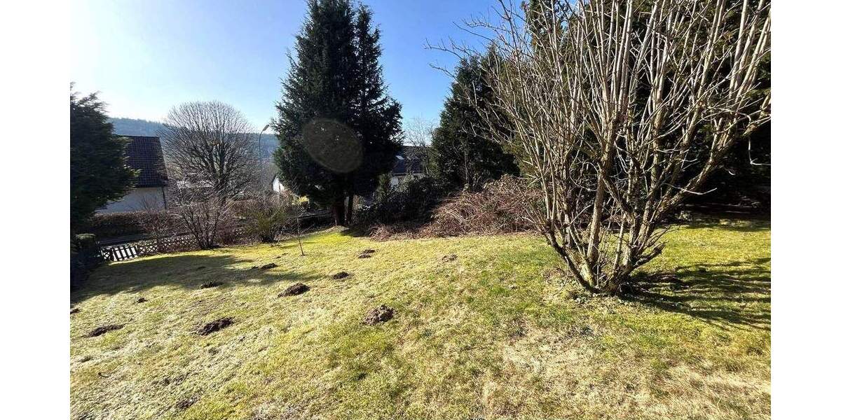 Mehrfamilienhaus, Wohnhaus Stammbach - 1 Zimmer, 418 m&sup2;, 419.000&euro; | Angebot:25895614