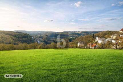 Grundstück Pegnitz - 225.000&euro; | Angebot:27530878