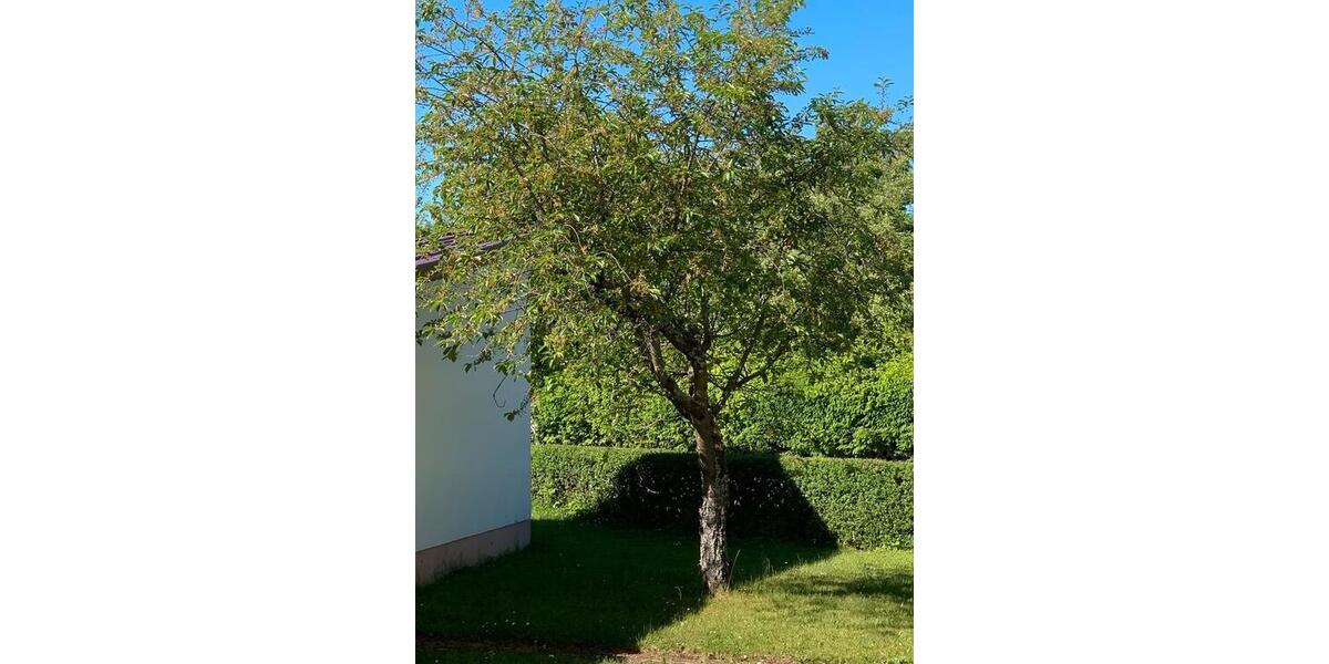 Einfamilienhaus Glashütten - 6 Zimmer, 957 m&sup2;, 315.000&euro; | Angebot:26926408
