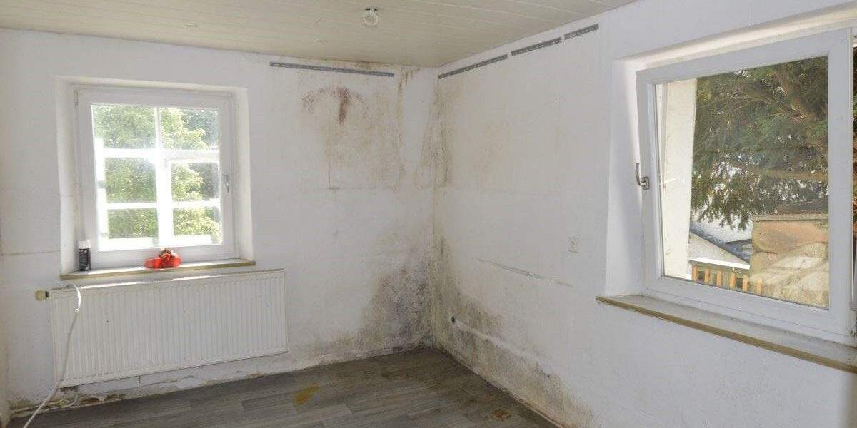 Einfamilienhaus Emtmannsberg - 6 Zimmer, 150 m&sup2;, 175.000&euro; | Angebot:25736638