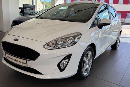 Ford Fiesta 111.000 km 8.500 &euro; Pegnitz 91257