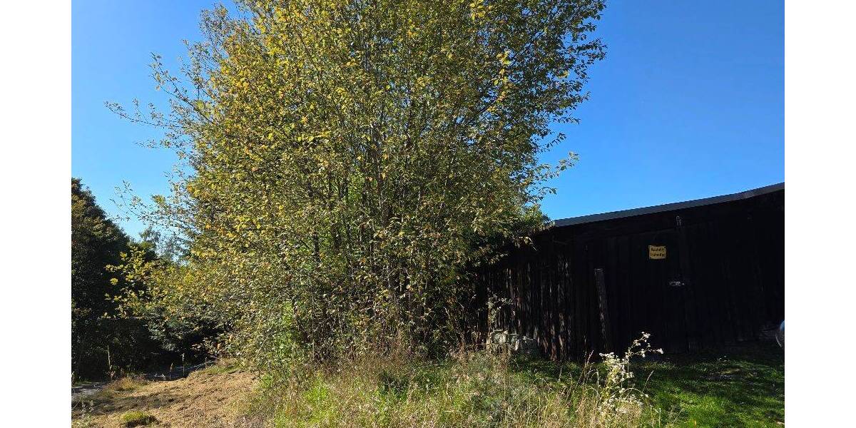 Grundstück Bischofsgrün - 49.000&euro; | Angebot:25776834