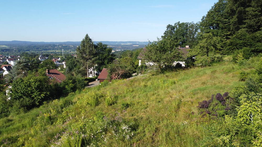 Grundstück Kulmbach / Burghaig Burghaig - 250.000&euro; | Angebot:25665660